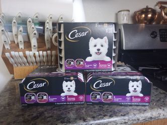 Cesar Wet Dog Food 12-Count Variety Pack x3