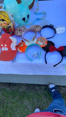 Disney ears and hat