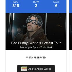 Bad bunny Concert Truist park