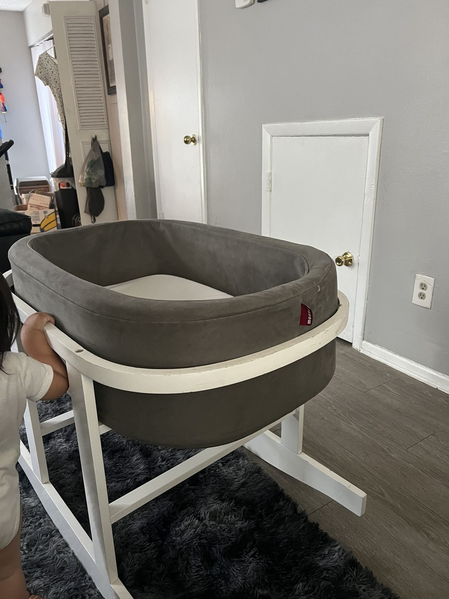 Monte Bassinet