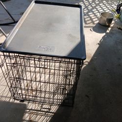 Dog Crate