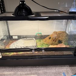40 Gallon Reptile Habitat