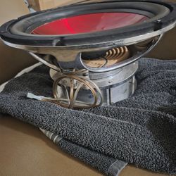 ALPINE (Type-R) Japan Model 12" Subwoofer