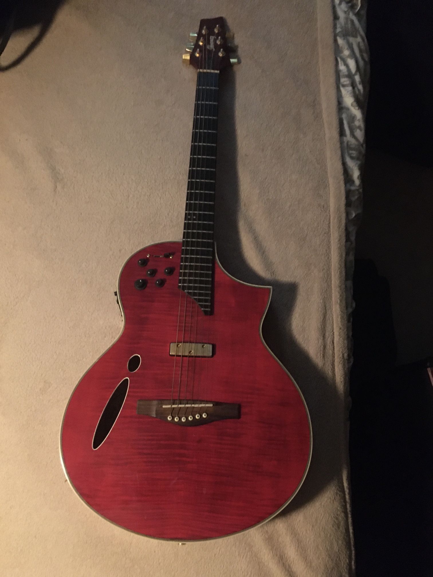 Ibanez Montage