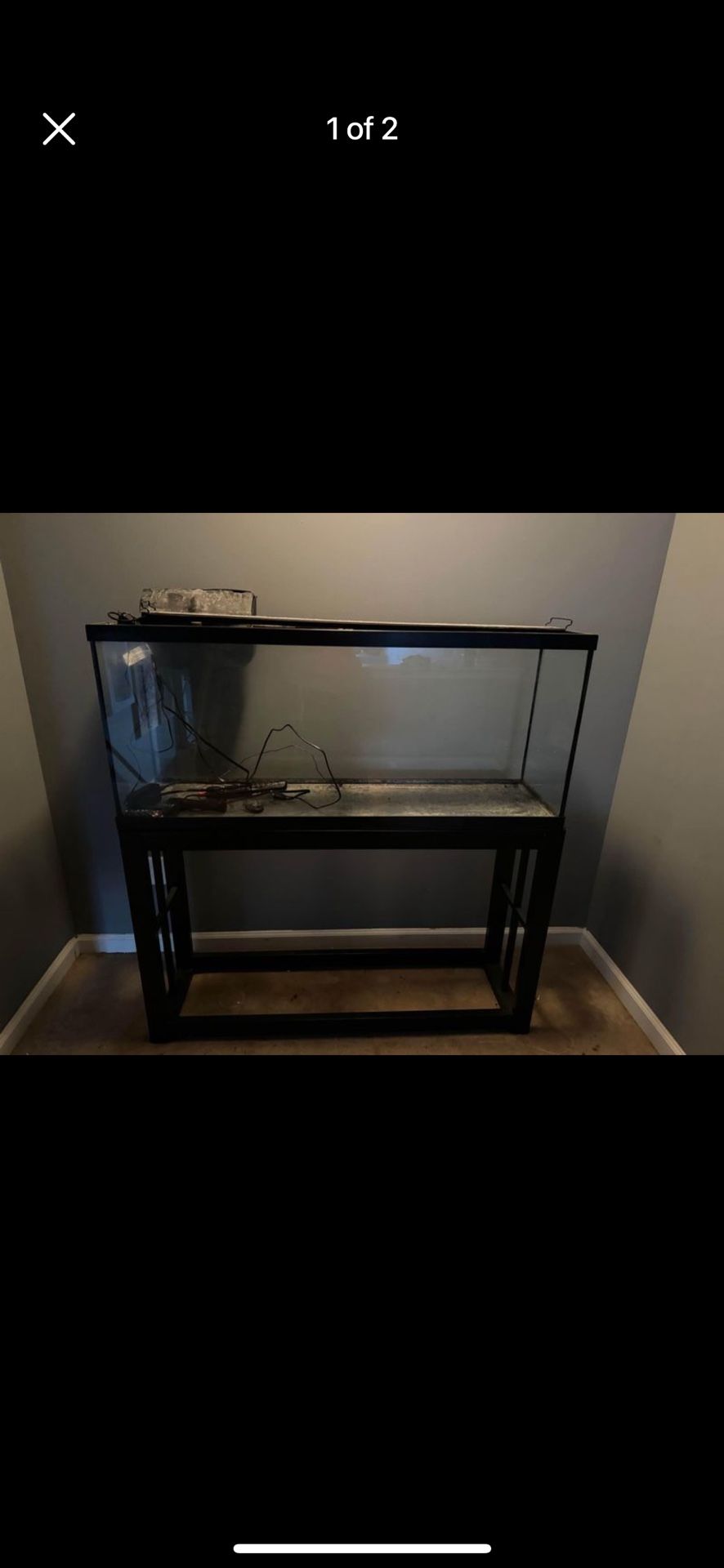 55 Gallon Fish Tank