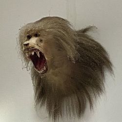 Taxidermy Baboon 