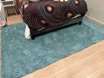 Teal / Aqua Shag Area Rug – Approx. 6’ × 9’