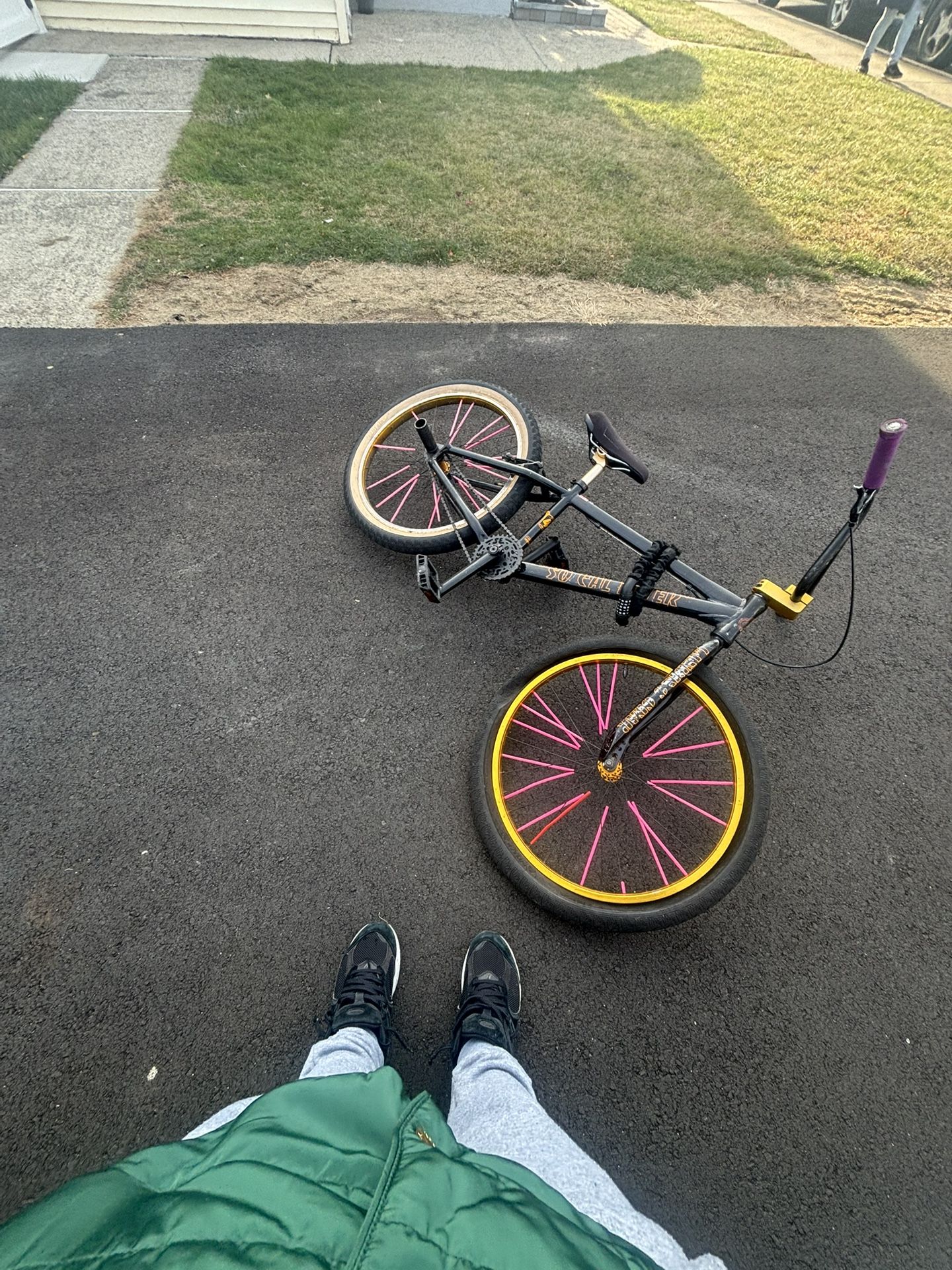 So cal flyer 24 inch gold and black /pink