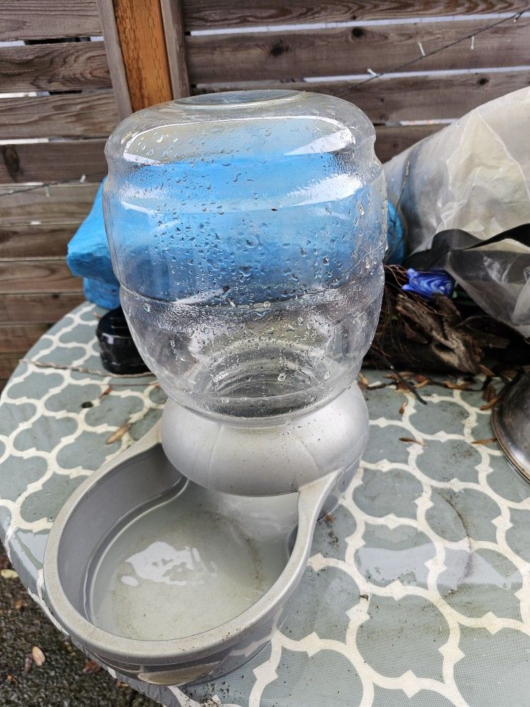 Dog Water Holder