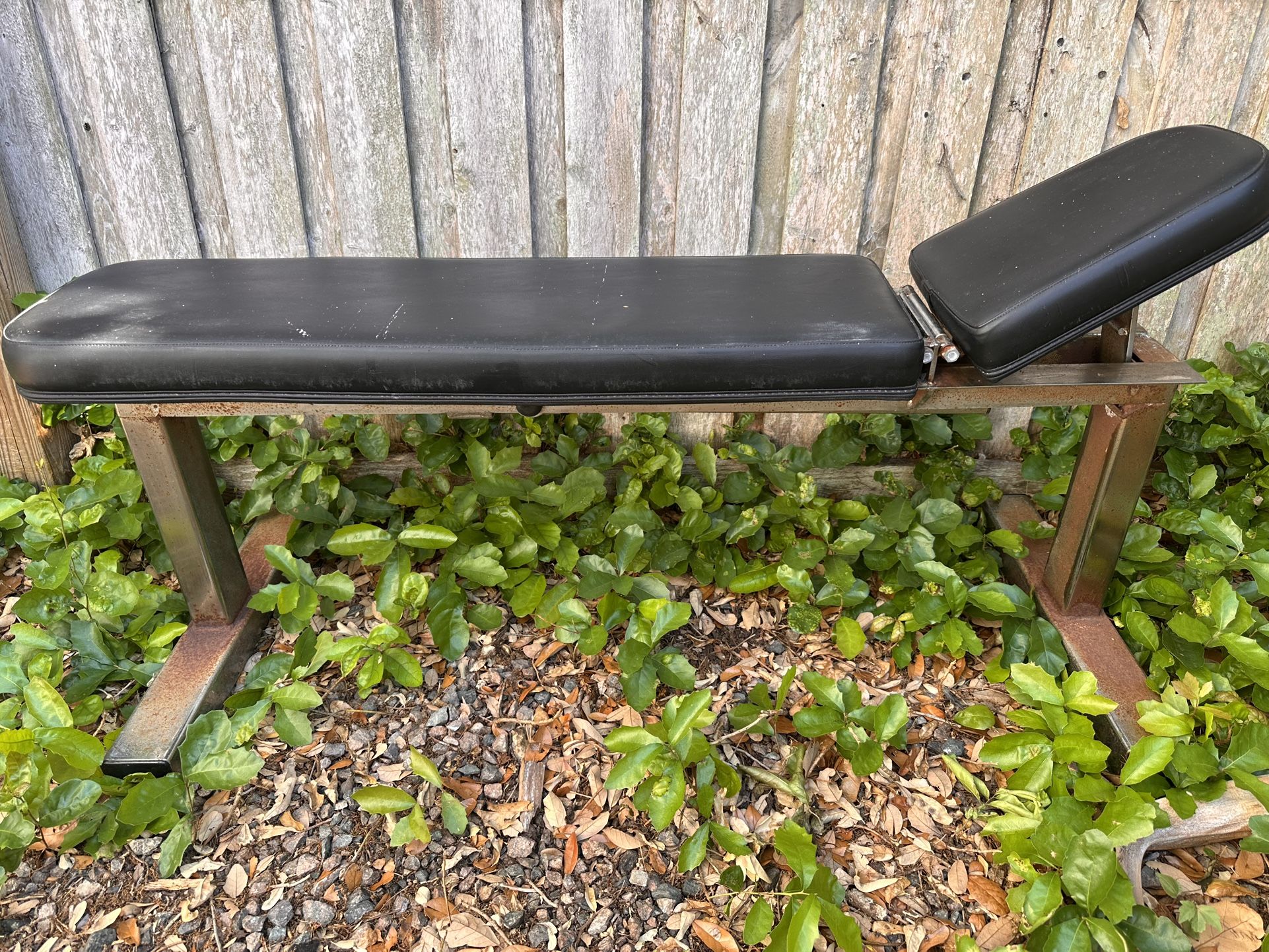Weight Bench - Best Offer