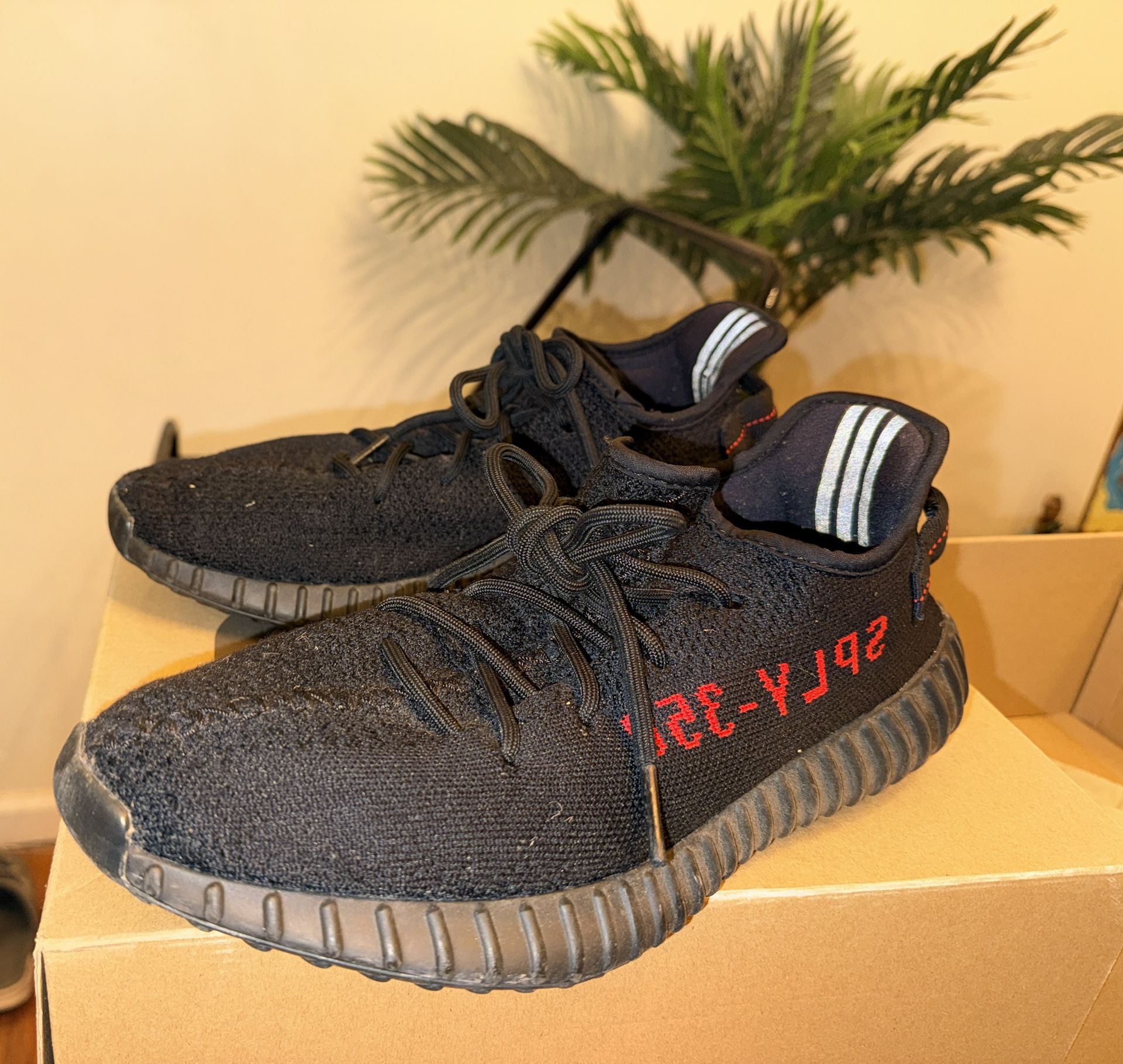 Yeezy Boost 350 V2  ‘breds’ 