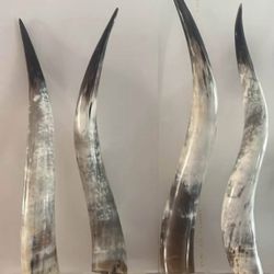 Set of 4 Polished Steer Horns on Lucite Bases – Coastal/MCM Style (28–30”)