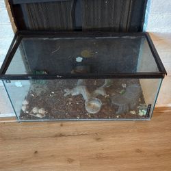 Reptile Tank 