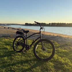 Electra Beach Cruiser Electric Bike Ebike