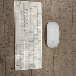 Apple Magic Mouse and keyboard