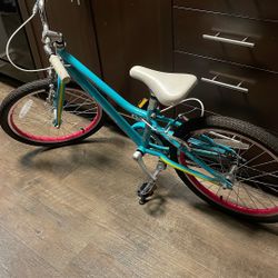 Girls Bike -guardian 20”