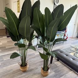 Pretty Artificial Plant 6 Ft Tall Set Of 2! Brand New  