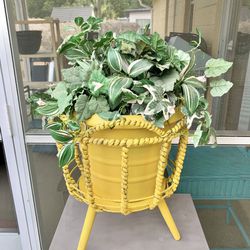 Unique, large plant pot holder with Martha Stewart resin plant pot included fake flowers not 