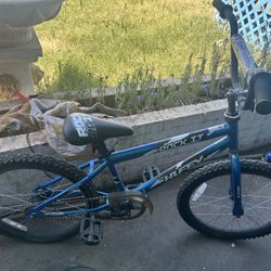 20” Bike 