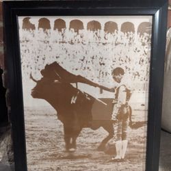 Matador Print And Frame 