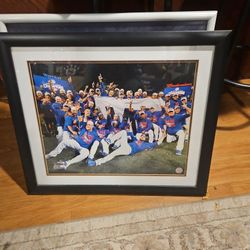 Chicago Cubs Framed Matted Picture.