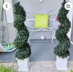 Outdoor plant
