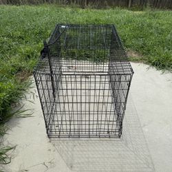 Extra Large Dog Crates