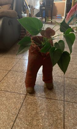 Jeans planters make whit concret