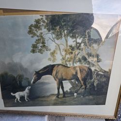 For The Horse/farm Lovers