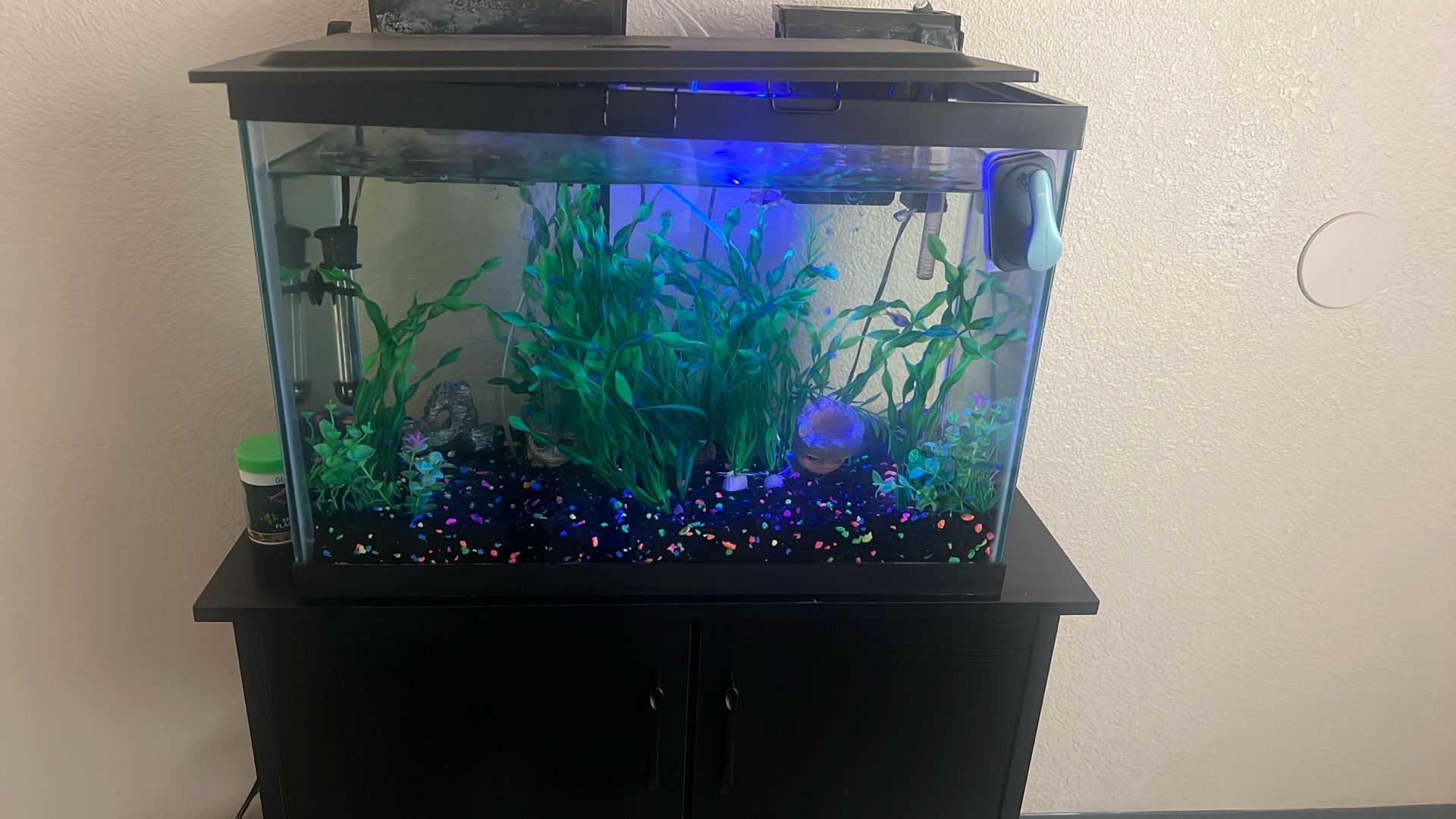 20 gallon Fish tank