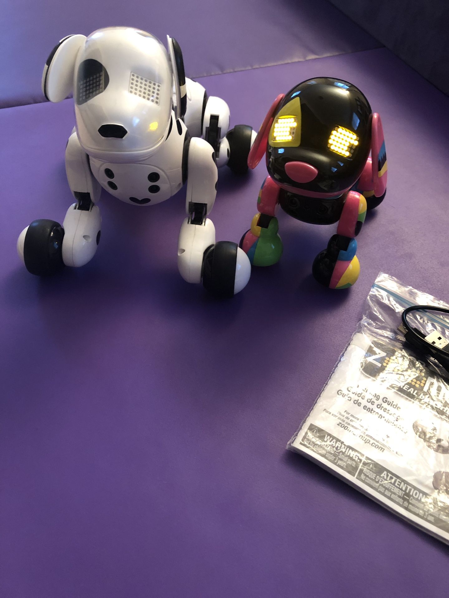 Zoomer & Roxy (robot dogs)