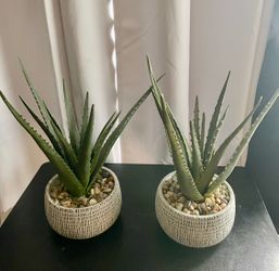 Set of 2 cactus artificial plants