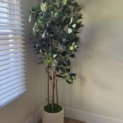 Faux Ficus Tree