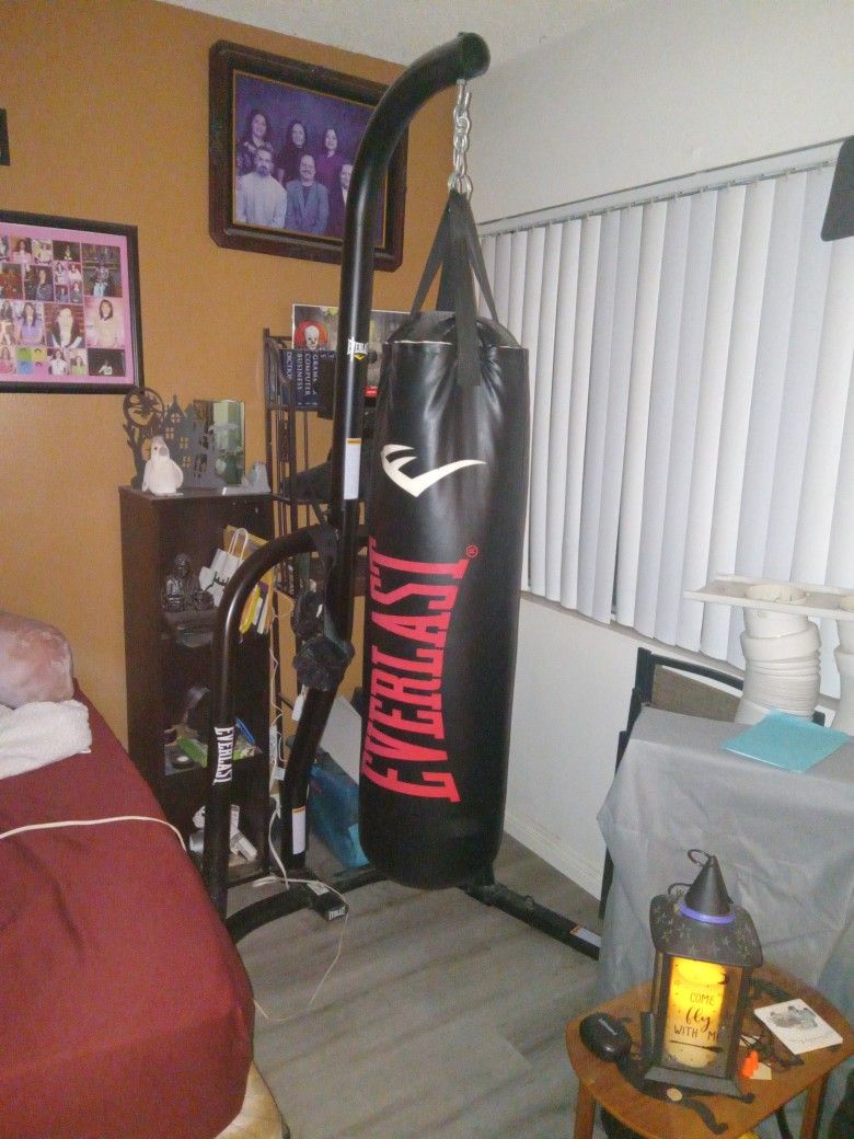 Everlast Punching Bag And Stand