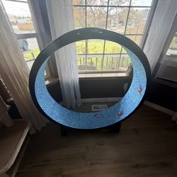 Cat Exercise Wheel