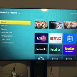 Roku Tv
