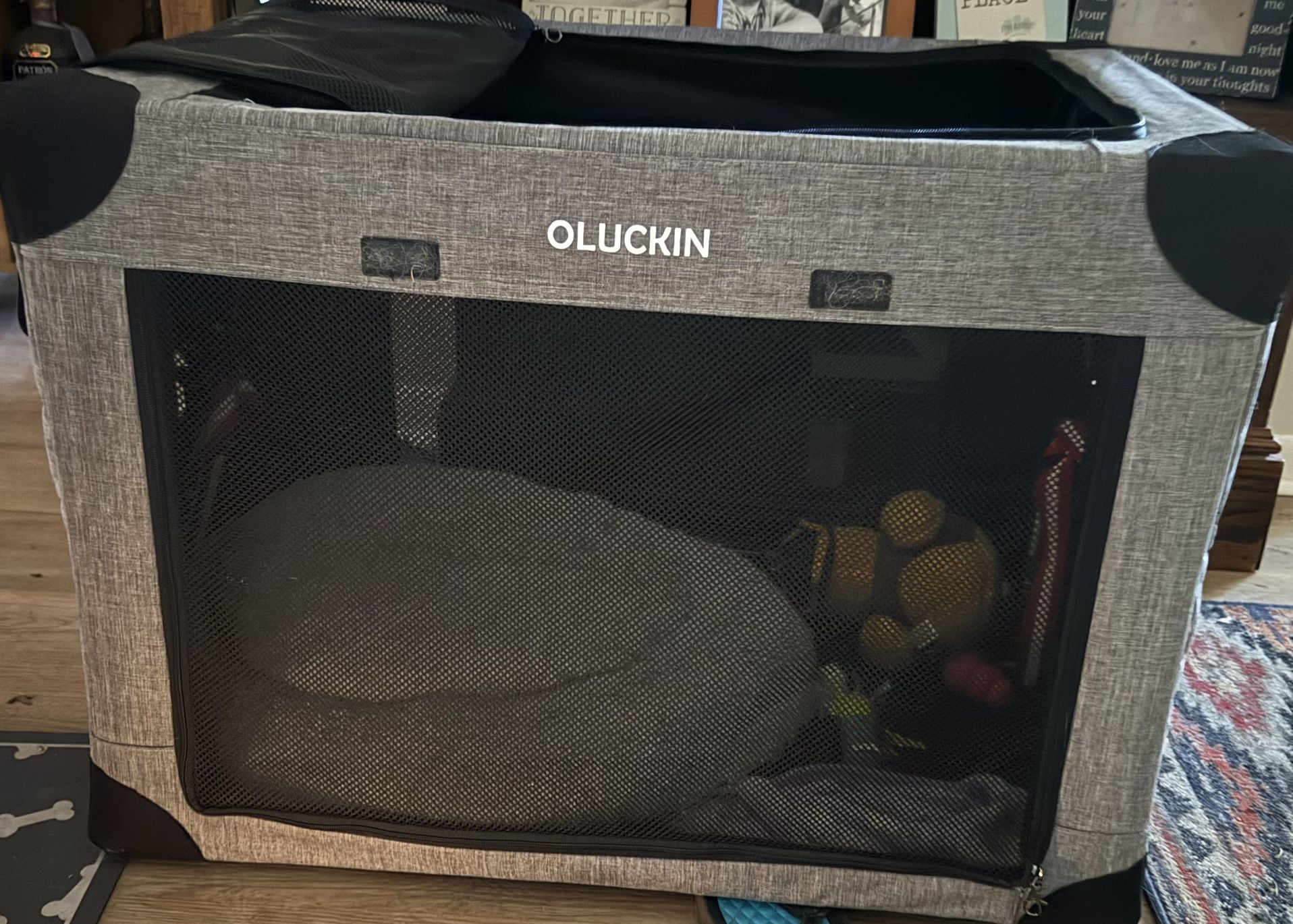 Collapsible, Dog Crate, Slow Feeder, Small Dog Bed, And Some Pee Pads