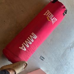 Ever last MMA Punching Pad 80 Pound  RED COLOR 