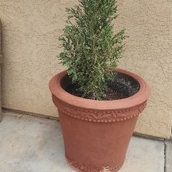 Pots
