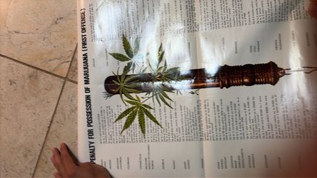 Collectible OG playboy poster in tube 1972