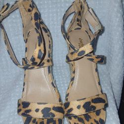 Charlotte Russe 