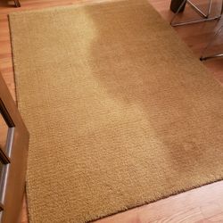 IKEA LANGSTED Rug