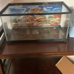 Reptile Tanks One Fish Tank