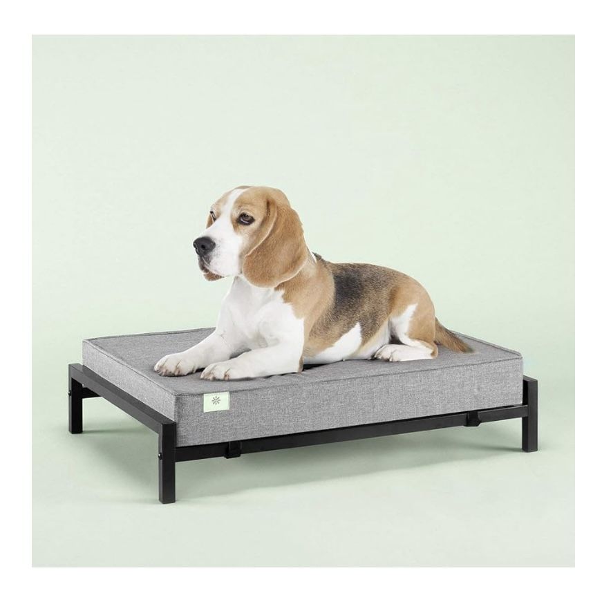 ZINUS Elevated Comfort Mattress Set Pet Bed