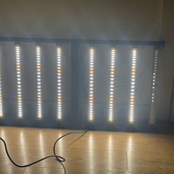 Grow Lights