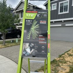 Little Giant Ladder