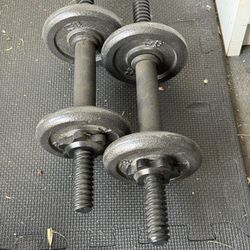Hand barbell weights