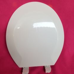Toilet lid