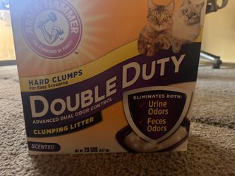 Kitty Litter