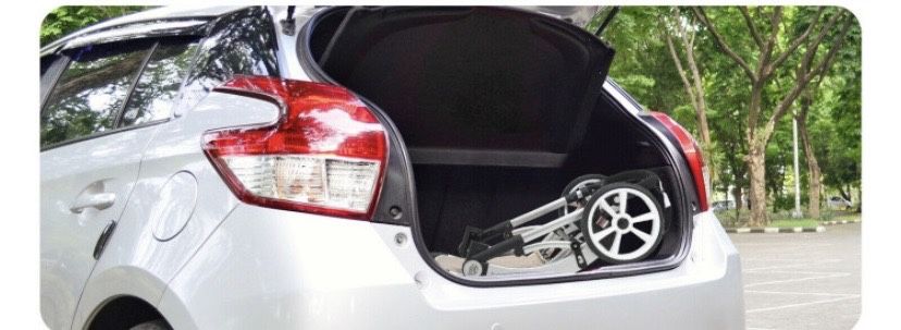 2-in-1 Baby Stroller